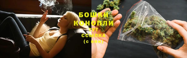 бошки Мегион