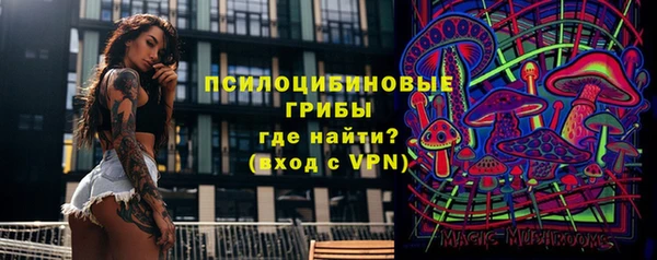 бошки Мегион