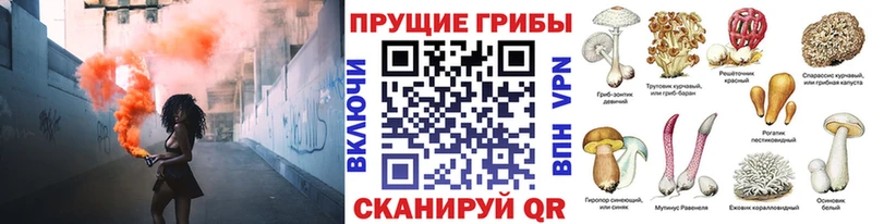 гидра вход  Нижняя Тура  Псилоцибиновые грибы Psilocybe 
